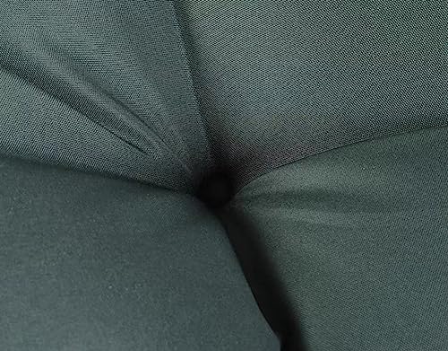 Earnmore Hängekorb Stuhl Bank Kissen Pad, Garten Ei Hängematte Schaukel, Weiche Indoor Outdoor Möbel mit Rückenlehne