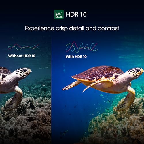 Image of Toshiba 108 cm (43 inches) E350SP Series 4K Ultra HD Smart LED Google TV 43E350SP