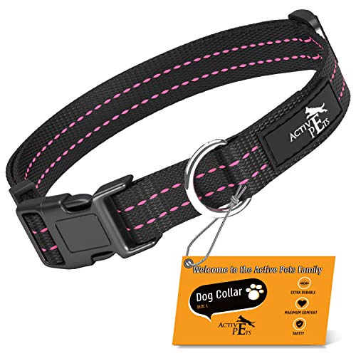 active dog collar