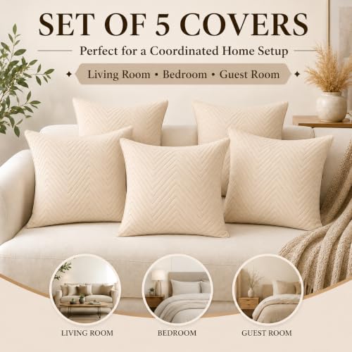Image of RD TREND UltraSonic Microfiber Cushion Covers, 40 x 40 cm /16 x 16 inches, Set of 5, 250 TC, Back Zipper (Beige)