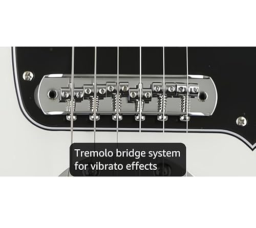 アート・デザイン・音楽 Fender JAZZMASTER Player's Book Fender Jazzmaster Player's Book (Japan) : r/offset