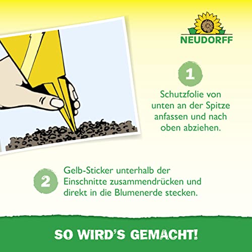 Neudorff Gelbsticker gegen kleine Fliegende Schädlinge wie Trauermücken, insektizid frei, geruchlos, 10 Stück (1er Pack)