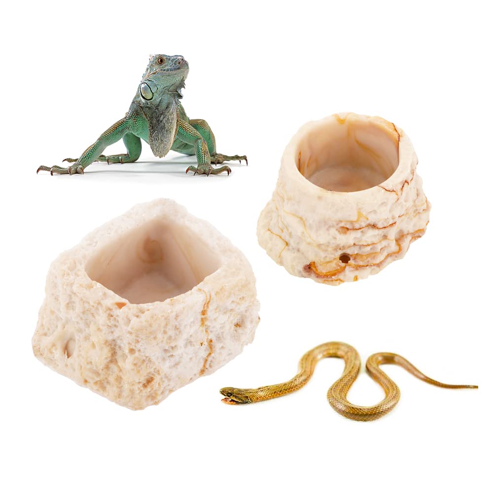 Bol à eau pour petit reptile en résine haute densité durable et stable