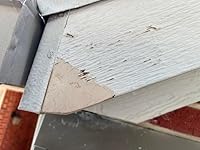 Review Image by Kenny Kenny