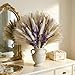 Hapart Purple Dried Pampass Grass Arrangements All-Natural Dried Plants with Bunny Tails Baby Breath Floral Centerpieces for Vase Tables Livingroom Wedding Boho Decor Floral Centerpieces for Tables