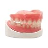 Healthyare DIY Dentures Full Set of Upper and Lower False Teeth for Better Smile