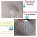 500+ Freshwater Water Daphnia-Great Feeder for Your Freshwater Life and AXOLOTS OR Cleaner for Your Tank-Please See Our Shipping/Return POLICLY