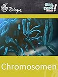 Chromosomen - Schulfilm Biologie