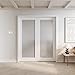 Alli-Inclusive Sliding Pocket Doors 64