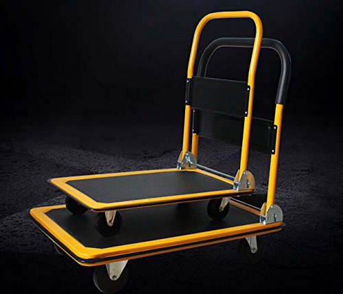 Carretilla plataforma con capacidad 300 kg miniatura 1