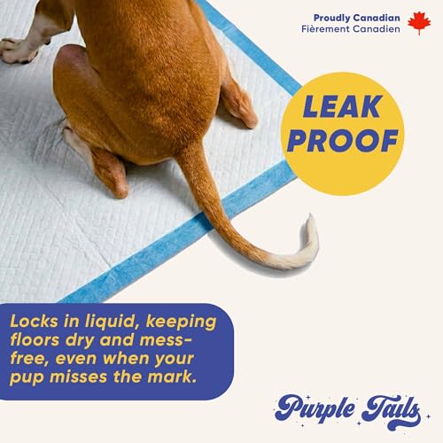 Image of Pet Training Pads Air Series - Large (Pack of 60) | Leakproof Heavy-Absorbent Puppy Pee Pads with Non-Slip Adhesive Tape | Odour Control, Quick-Dry Potty Pads for Dogs (60, 60x60cm)