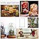 nbeads Glas-Display-Cloche-Kuppel, Dekorative Glaskuppelabdeckung Durchsichtige Glockenglas-Vitrine Mit Weißem Holzsockel Für Sammlerstücke Rose Büro Zuhause Tischdekoration, 15x25.5cm