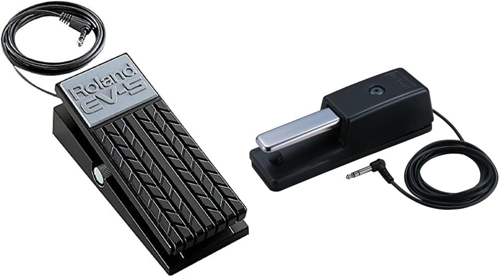 Roland DP-10 Real-Feel Pedal with Non-Slip Rubber Plate & BOSS EV-5 Expression Guitar Pedal