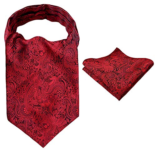 Alizeal Men's Floral Jacquard Woven Self Cravat Tie Ascot and Pocket Square Set (Wine Red)