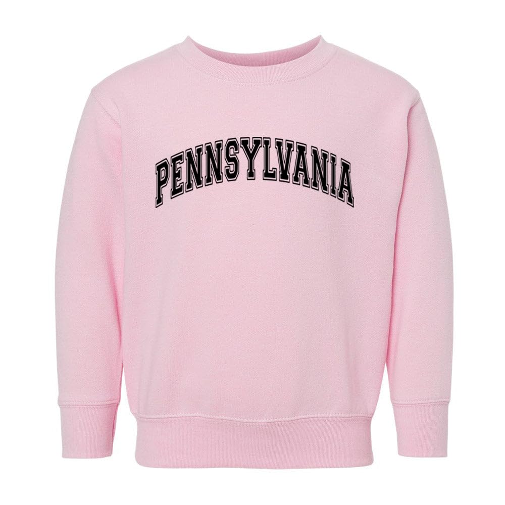 Arch Pennsylvania Kids Sweatshirt Toddler 5T Pink