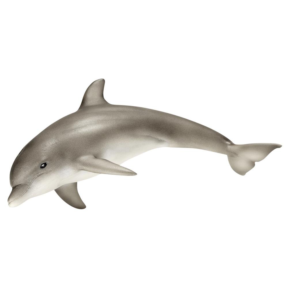 Amazon.co.jp: Schleich シュライヒ ワイルドライフ イルカ 14699 Amazon.co.jp: Schleich シュライヒ ワイルドライフ イルカ 14699