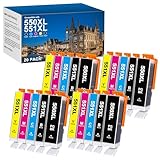 PGI550XL CLI551 Cartouches d'encre pour Canon PGI 550 CLI 551 pour Canon Pixma MX725 MX920 MX925 iX6850 (20 Pack)