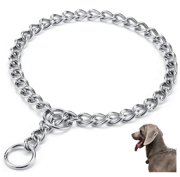 Drid 304 Stainless Steel Chain Collar