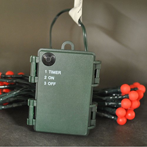 LightsGo 20 LED 3 m alimentato a batteria