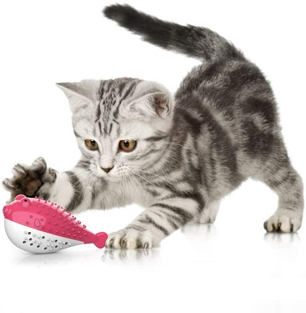 PETS EMPIRE Catnip Toys Cat Toothbrush Puffer Fish Shape Pet Molar Stick Interactive Chew Toy Silicone Cat Toothbrush Fish Kitten Teeth Cleaning Grinding Brush Toy- 1 Piece Color May Vary (B09PNMZ2XP) Amazon Price History, Amazon Price Tracker