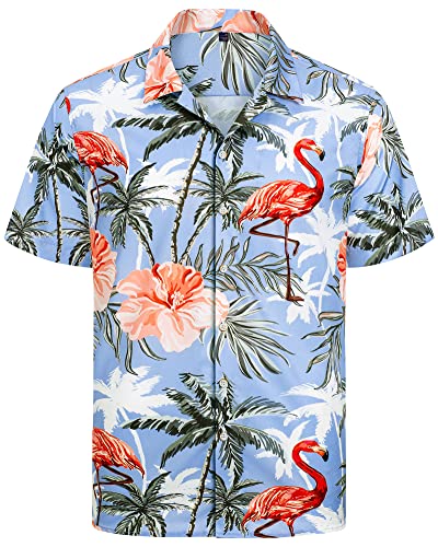 J.Ver Camisa hawaiana para hombre, camisa de playa, camisa hawaiana, manga corta, tiempo libre, camisa hawaiana, informal, unisex, camiseta hawaiana, Flamenco azul, M J.Ver Camisa hawaiana para hombre, camisa de playa, camisa hawaiana, manga corta, tiempo libre, camisa hawaiana, informal, unisex, camiseta hawaiana, Flamenco azul, M