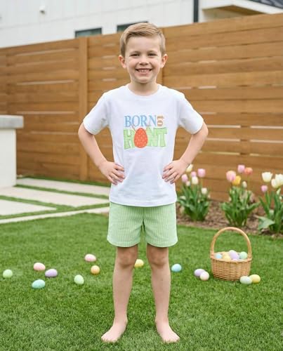 Image of Unique Baby Boys 2pc Shorts Set Outfit Short Sleeve Shirt with Embroidery Design and Shorts