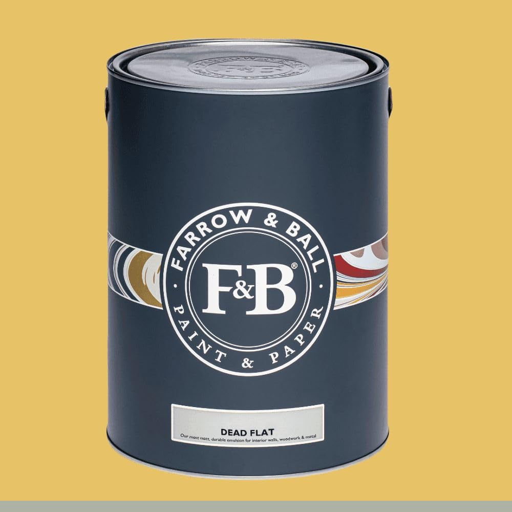 FARROW & BALL DEAD FLAT 223 BABOUCHE 5L