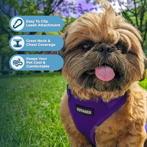Image of Voyager Step-in Pet Harness - All Weather Mesh, Adjustable Step in Harness for Cats and Dogs by Best Pet Supplies - Purple, XS
