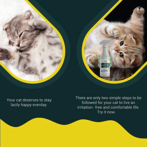 mdxconcepts Organic Flea and Tick Control Spray for Cats- Made in USA - Rosemary Oil flea Treatment for Cats–Flea Repellent 100% Natural –Essential Oils – Flea Killer - Safe to Use –16 oz - Thumbnail 5