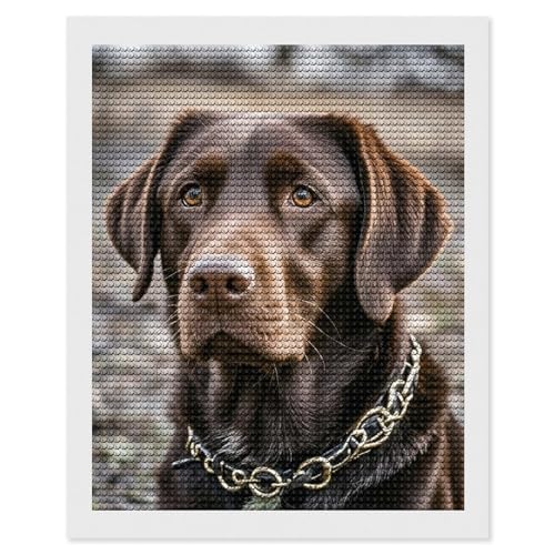 Peinture diamant 5D kit complet labrador marron anti-stress pour adulte