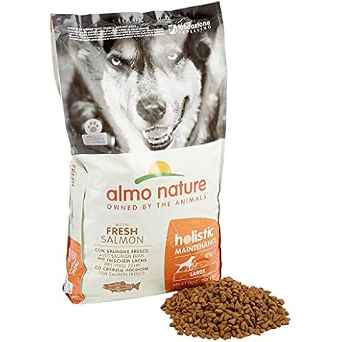 Holistic Hundefutter Large mit Lachs und Reis Cover