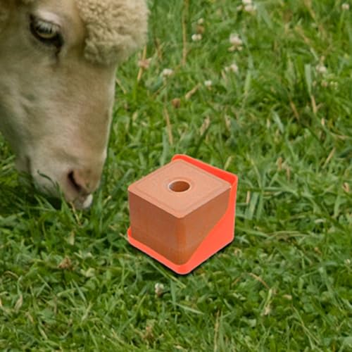 Boîte à blocs de sel pour usage agricole en extérieur de bétail moutons