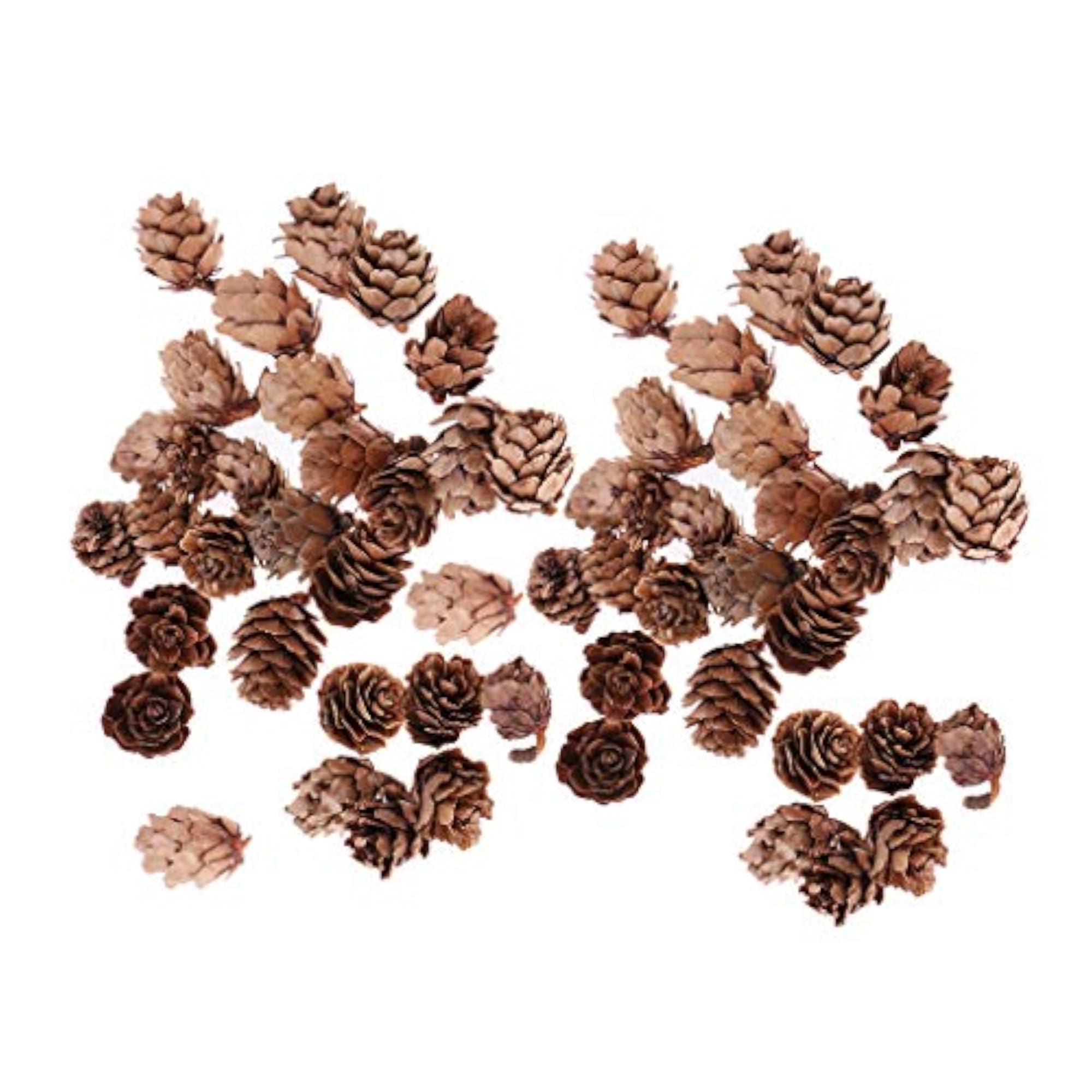 Natural Pine Cones, 60 Pieces for Christmas Decor