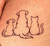 Review Image by A.Lamb A.Lamb