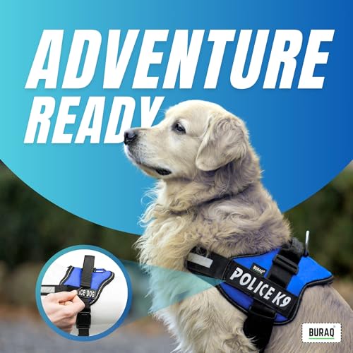 Image of Buraq Pets Police K9 Dog Harness, No Pull Reflective Dog Vest Oxford Fabric, Soft Padded Easy Control Dog Chest Belt, No More Pulling Or Choking for Large Medium & Small Dogs (Black - S)