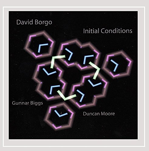 Initial Conditions