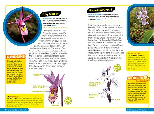 Ultimate Explorer Field Guide: Wildflowers - Image 3