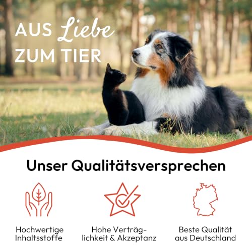 PHA Floh- & ZeckenStopp Spray Hund & Katze, mit Neemöl