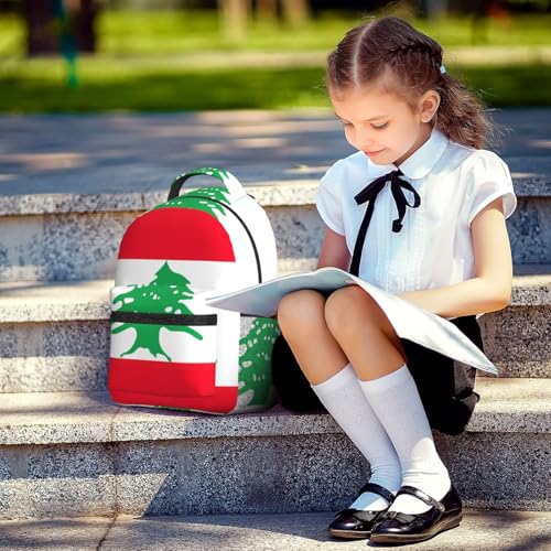 Sac à dos ordinateur Liban protège votre matériel en vol et travail - 6