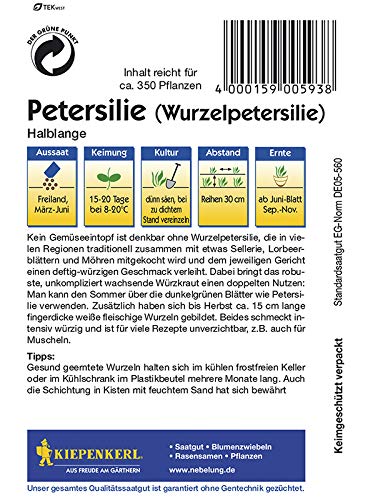 Kiepenkerl 593 Petersilie (Wurzelpetersilie) Halblange (Wurzelpetersiliensamen) - Image 3