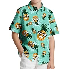 501-pineapple Glasses