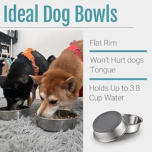 PEGYY11 Nonslip Stainless Steel Dog Bowls 38 US Cup 2 Count