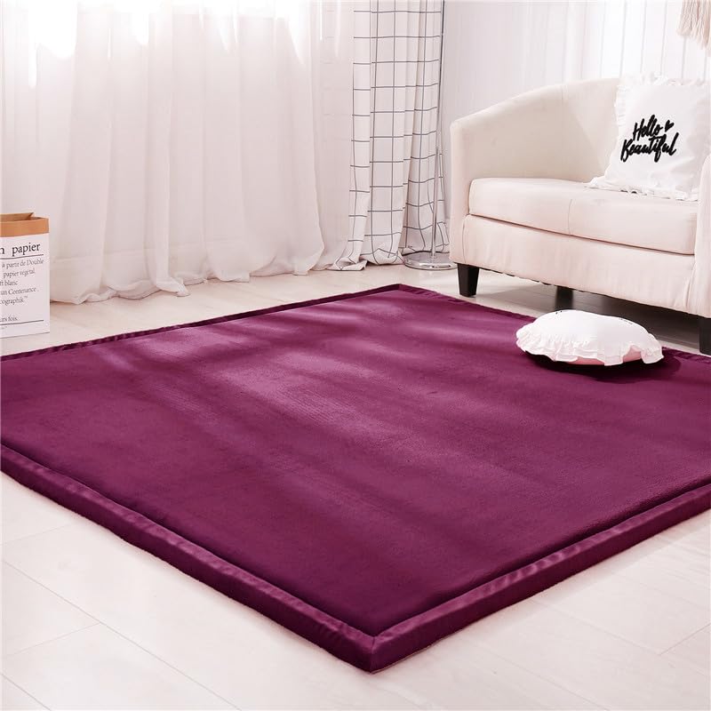 DSSHENGDS Living Room Home Decor Coral Fleece Area Rug,Modern Nursery Washable Kids Bedroom Rug,Girls Boys Soft Non-slip Soft Mat,2cm Thick Kids Carpet-I- 100 * 150cm