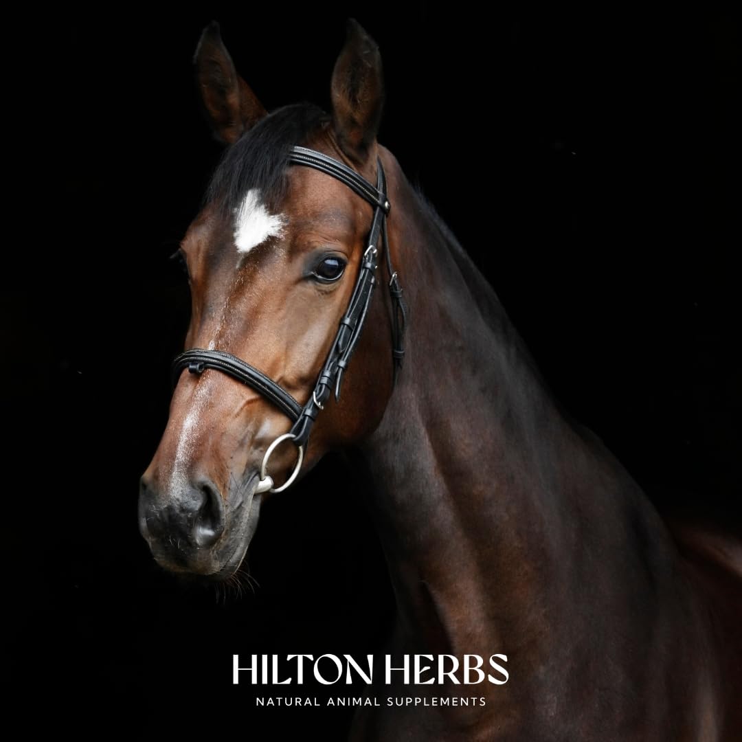 Hilton Herbs Multiflex