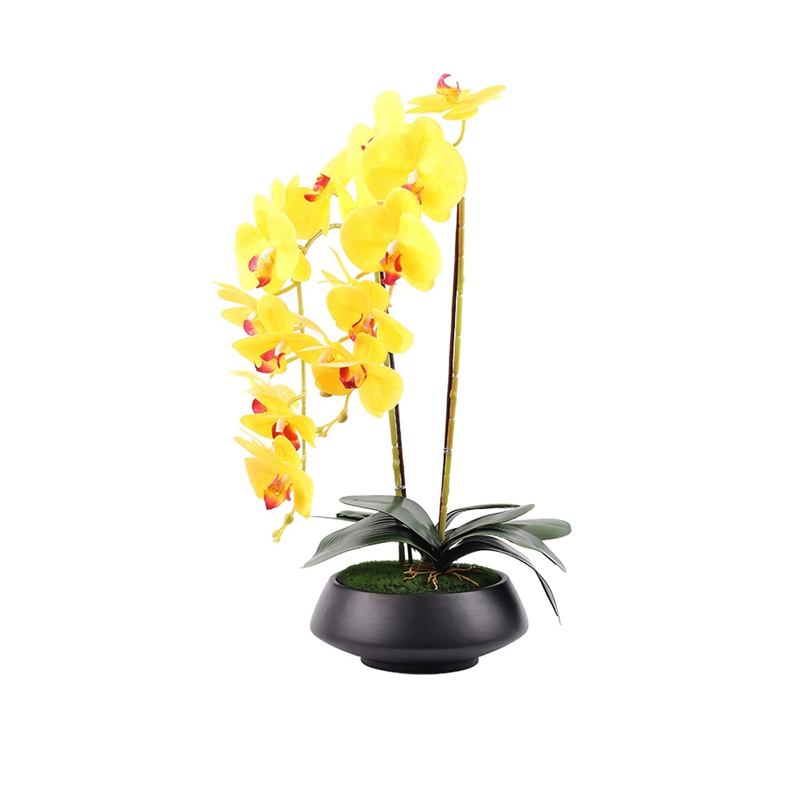MYUYEE Artificial Flowers Yellow Fake Silk Orchid Bonsai,Phaleanopsis With Black Ceramic Vase, Artificial Orchid For Home Office Decor Flowers Arrangement Bouquet(Small)
