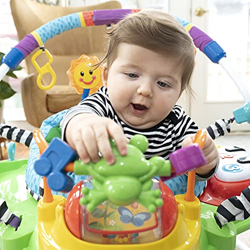 Jumper de Atividades Neighborhood Friends, Baby Einstein, Multicor