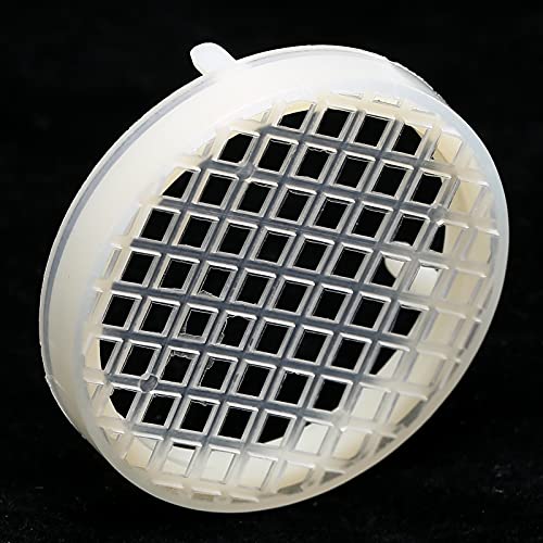 10 Unidades de Criação de Rainha Gaiola de Apicultura Suprimentos de Ferramentas de Abelha Rainha Re