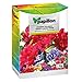 Produktbild Korn Papillon "Geranien und Gründüngung 1 kg