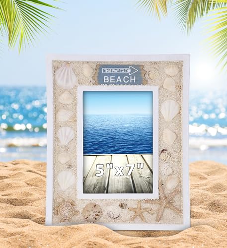 CoTa Global Oceanic Sea Turtle Photo Box Frame 5X7 Frame - White Wood Seashell Photo Frame for Summer Vacation Memory, Handmade Tropical Sand Nautical Picture Frame For Tabletop or Wall Hang - 11 Inch