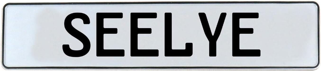 Vintage Parts 750606 White Stamped Aluminum Street Sign Mancave Wall Art (Seelye), 1 Pack